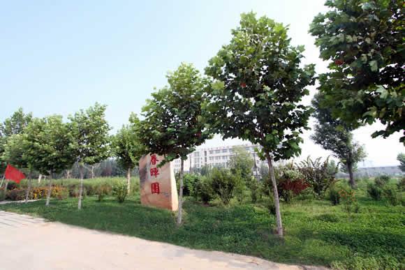 衡水科技工程學(xué)校怎么樣？是國(guó)辦院校嗎？就業(yè)有保障嗎？