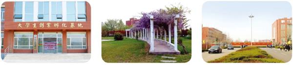 為什么那么多人想成為郵輪乘務(wù)人員？