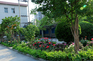 邯鄲理工學(xué)校怎么樣？學(xué)校都有什么專(zhuān)業(yè)？