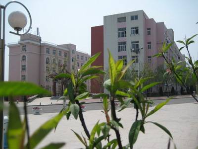 青島影視學(xué)校好嗎？