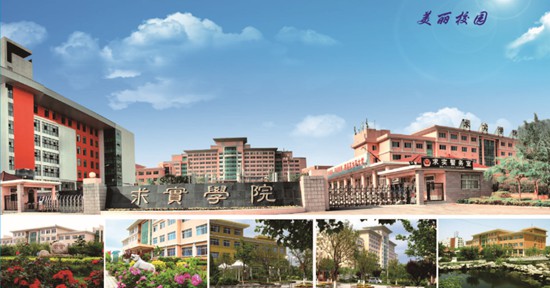 青島哪所學校開設了空中乘務專業(yè)？