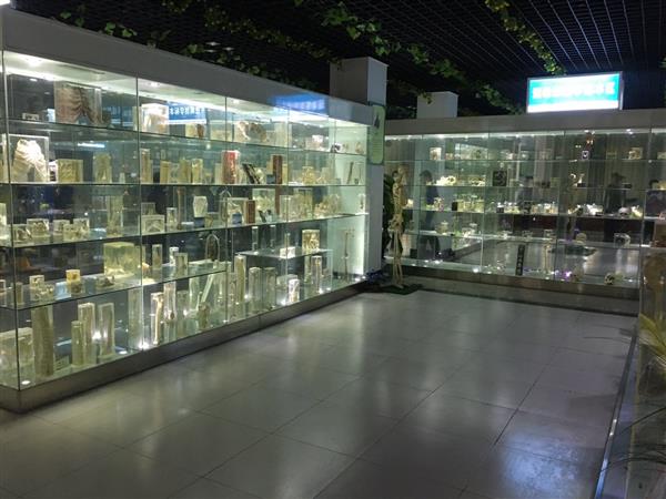 山東人民學(xué)院有沒有就業(yè)保障？