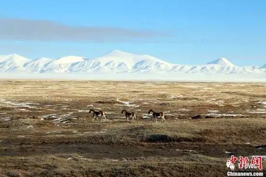 承德騰飛職業(yè)技術專修學院的一天