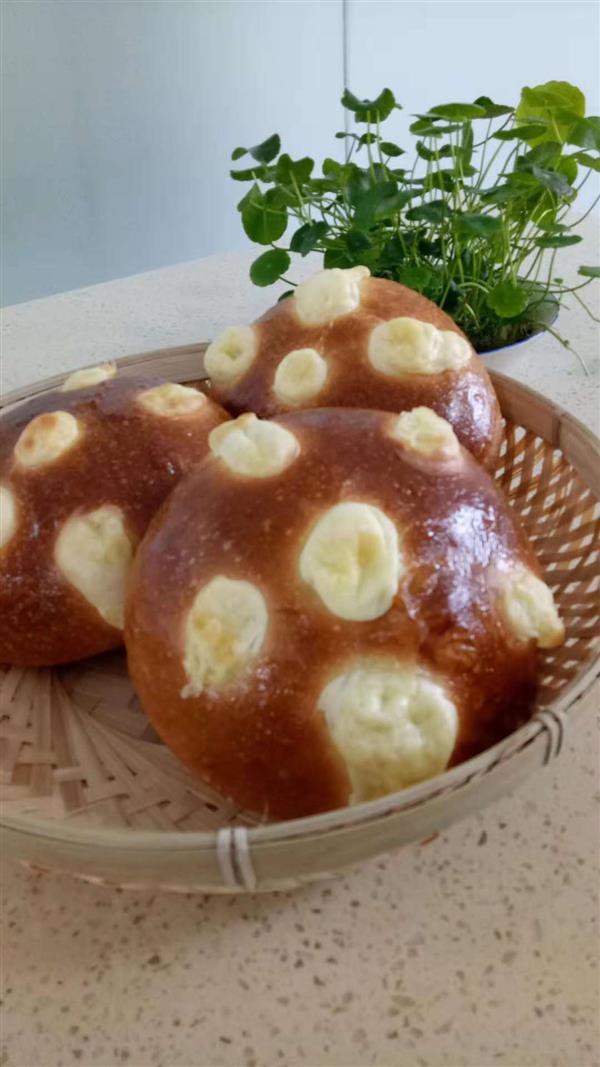 QQ圖片20181213090025 QQ圖片20181213090025