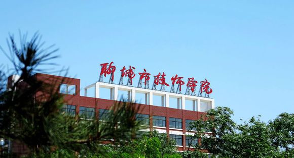 聊城市技師學院有計算機專業(yè)嗎？