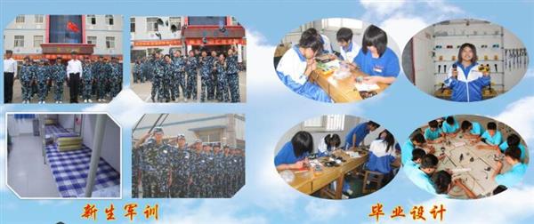 青島海信中心聯(lián)校收費標(biāo)準(zhǔn)是什么？