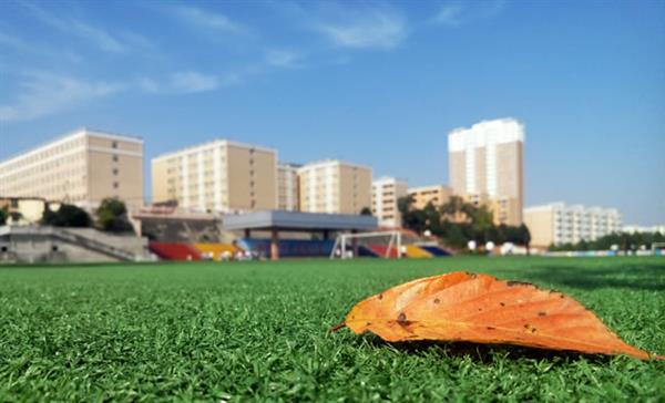 想學(xué)“免費(fèi)”專業(yè)？保定北市區(qū)職教中心為你買單