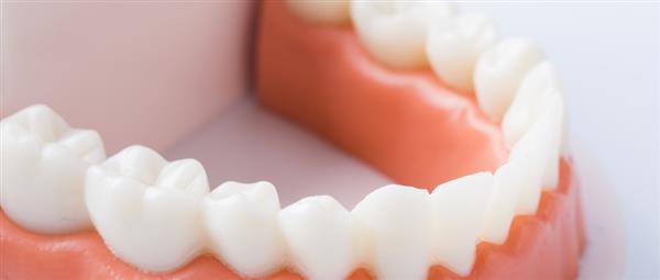 濟(jì)南有哪些學(xué)校開(kāi)設(shè)口腔醫(yī)學(xué)專(zhuān)業(yè)？