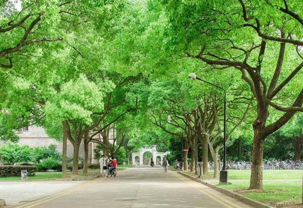 煙臺(tái)南山學(xué)院都有哪些辦學(xué)優(yōu)勢(shì)？