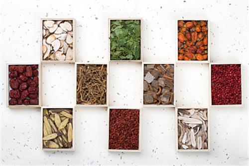 山東醫(yī)藥技師學(xué)院中藥系專業(yè)有哪些？