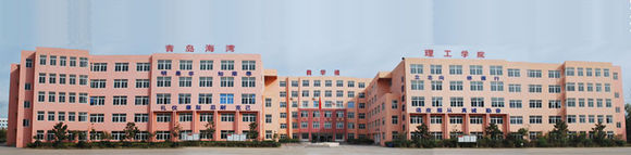 青島學(xué)幼師去哪里？