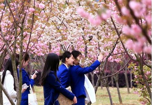 武漢東湖學(xué)院自考本科專業(yè)有哪些？