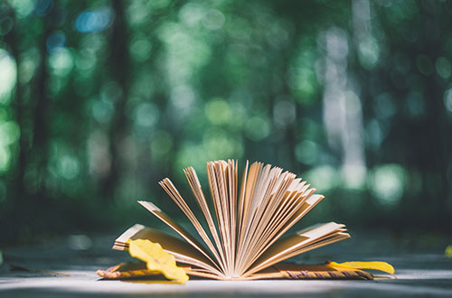 臨沂能源學(xué)校怎么樣？學(xué)校的就業(yè)情況怎么樣？