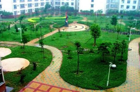 聽說河北現(xiàn)代冶金工業(yè)學校實習就業(yè)的待遇很好？是真的嗎？