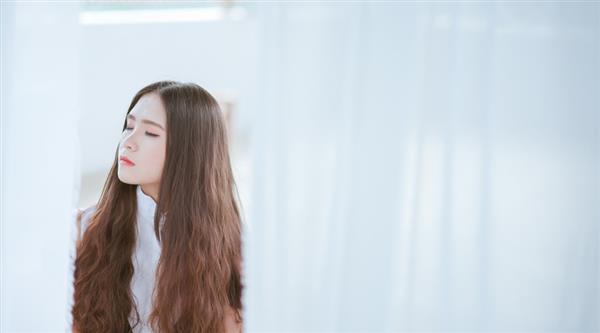 石家莊東方學院都開設了哪些專業(yè)？