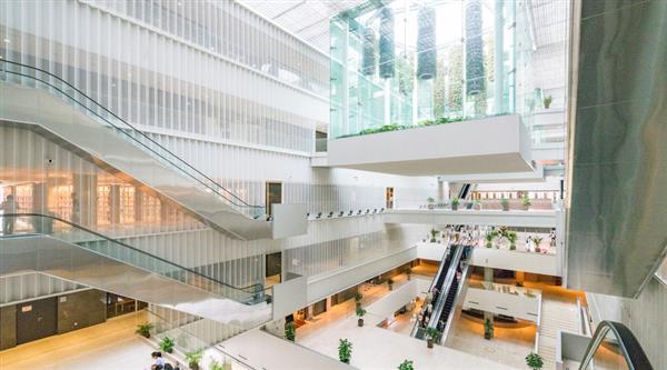 石家莊迅騰軟件學(xué)院都開設(shè)哪些專業(yè)？