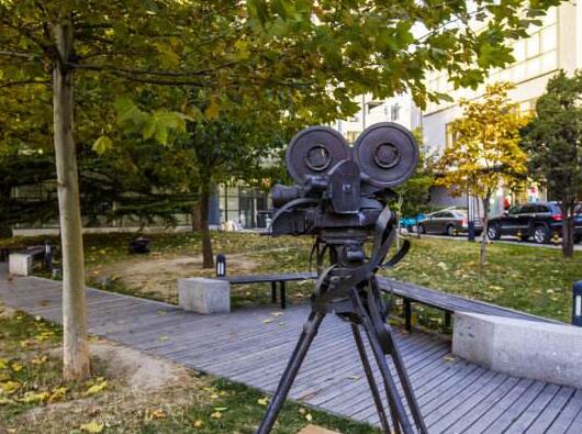 北京電影學(xué)院都設(shè)置了哪些就業(yè)保障？