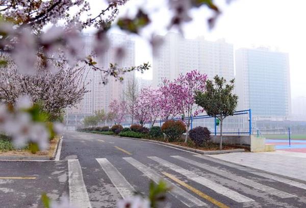 河北大學(xué)新世紀(jì)函授站成人高考輔導(dǎo)班怎么樣？