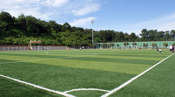 青島市電子信息技術(shù)學校有哪些專業(yè)？