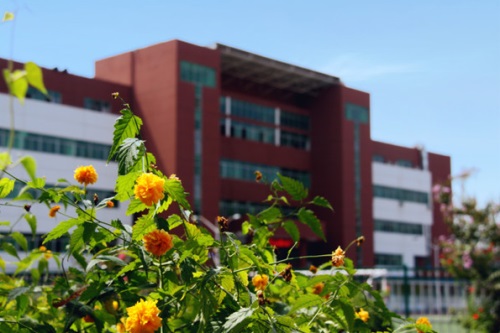 石家莊經(jīng)濟(jì)職業(yè)學(xué)院有單招嗎？