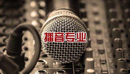 北京吉利學(xué)院華視傳媒學(xué)院有藝術(shù)相關(guān)專業(yè)嗎？