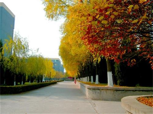 北京現(xiàn)代體育學(xué)院、航空乘務(wù)學(xué)院設(shè)施好嗎？