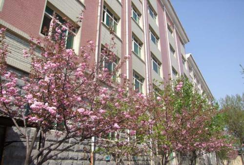 保定學汽修選擇保定新興工業(yè)技工學校怎么樣？