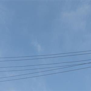 電工專(zhuān)業(yè)