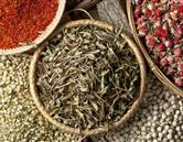 專(zhuān)業(yè)風(fēng)采