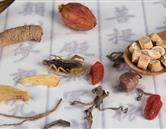 專(zhuān)業(yè)風(fēng)采