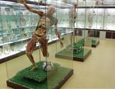 山東煤炭衛(wèi)生學(xué)校（濟南校區(qū)）實驗室、宿舍